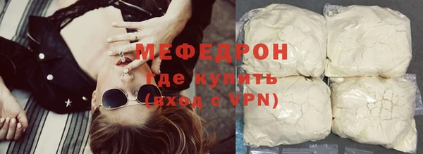 индика Инта