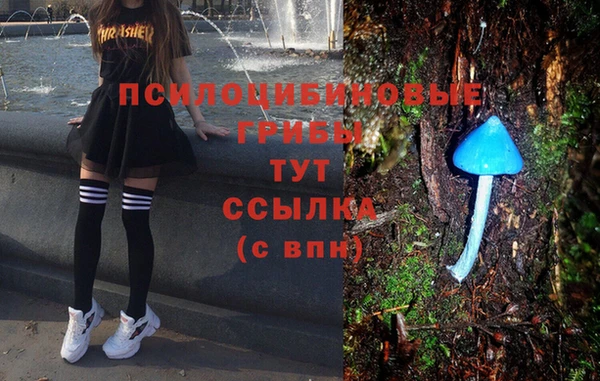 сатива Пересвет
