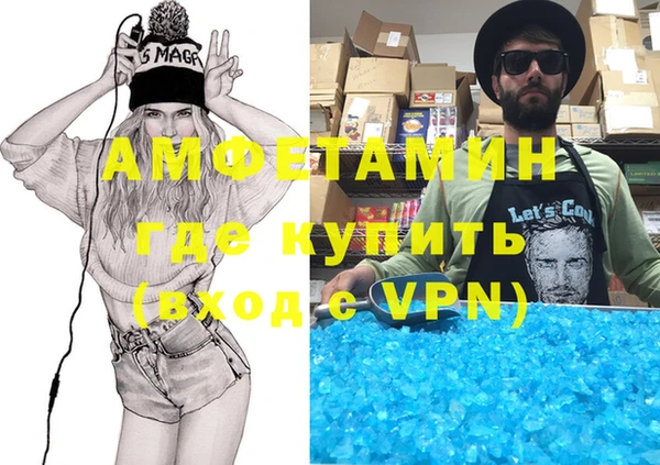 сатива Пересвет