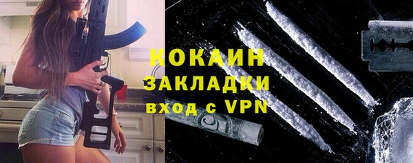 сатива Пересвет