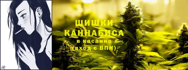 дурь Строитель