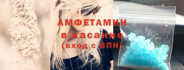 сатива Пересвет