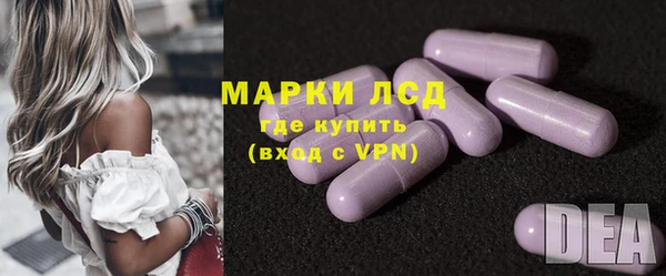 сатива Пересвет