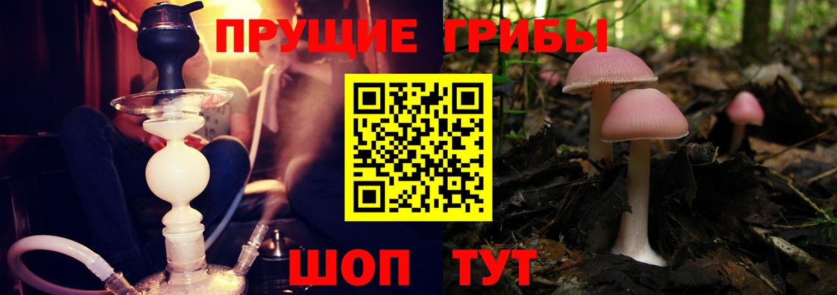 Кыштым  Псилоцибиновые грибы Cubensis  Вход с VPN 